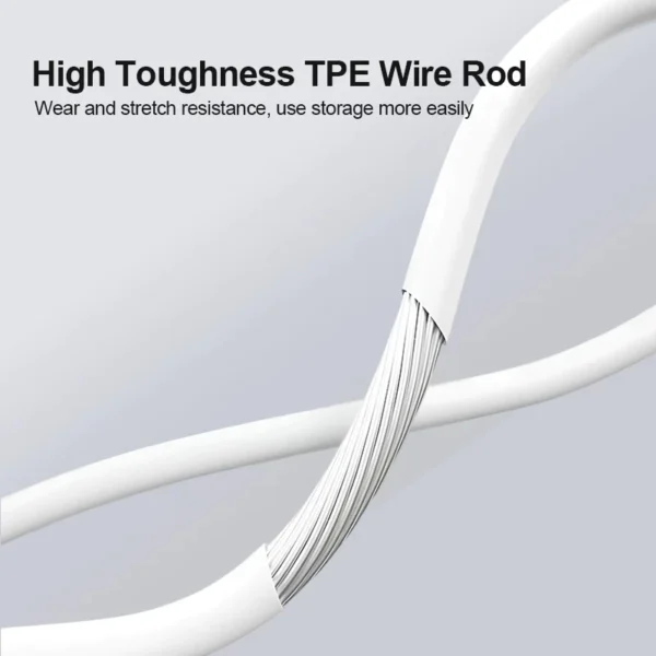 Type-C Hi-Fi In-Ear Earphones
