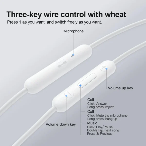 Type-C Hi-Fi In-Ear Earphones